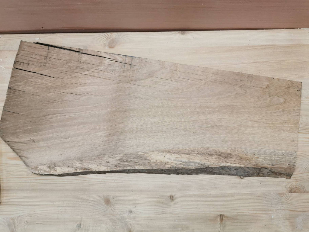 Jouet Dinosaure en bois fait main