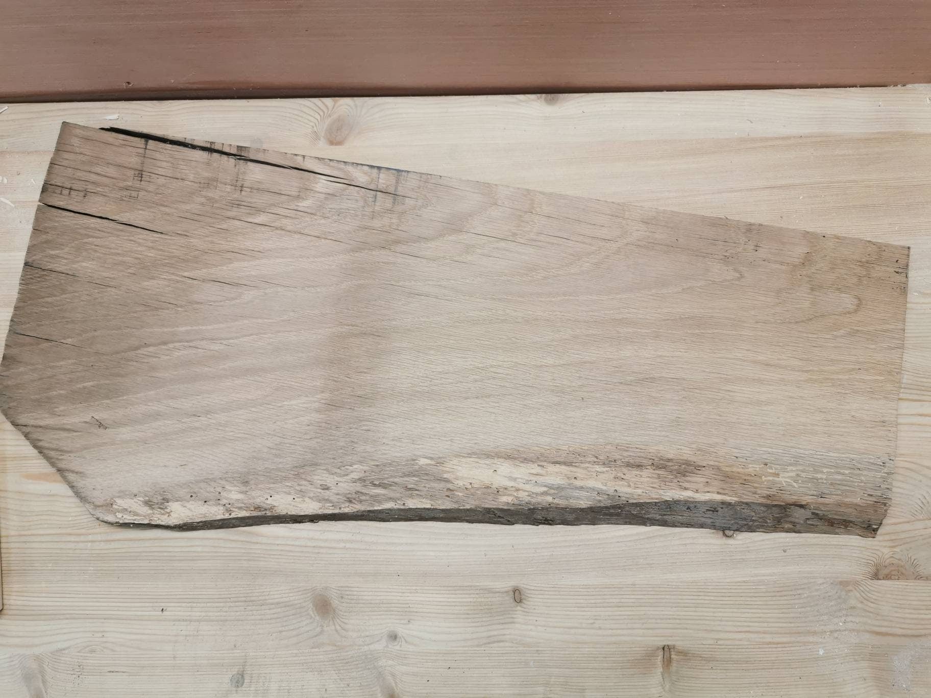 Jouet Dinosaure en bois fait main